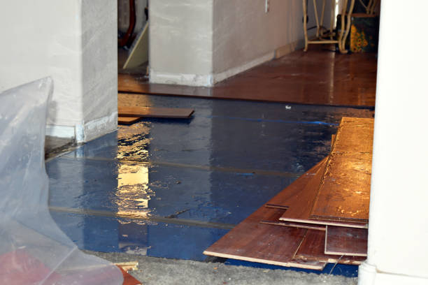 Professional Sewage Cleanup technician working in Wimbledon, ND